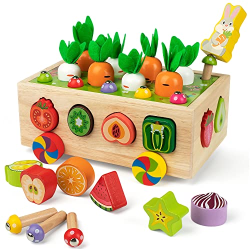 Coogam Montessori Fine Motor Toys for Baby Toddler, Wooden Shape Sorter Carrot Harvest Game, Preschool Learning Educational Gift Toy for 3 4 5 Year Old