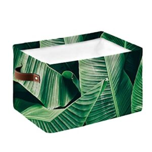 Storage Basket Summer Green Banana Leaves Storage Bin with Handles, Tropical Nature Plant Collapsible Organizer Storage Cubes Bins for Closet, Laundry Clothes, Bathroom, Nursery Toys