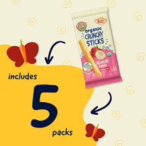 Earth's Best Organic Baby Food, Dissolvable Teething Food for Babies 6 Months and Older, Strawberry Banana Teething Snack, .56 oz Pack (Pack of 5)