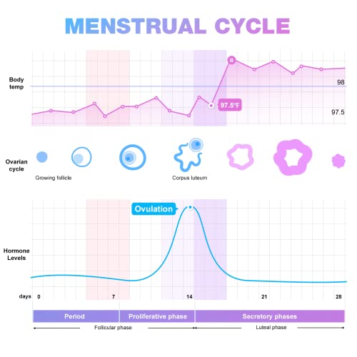 Ovulation & Pregnancy Test Strips Kit: Easy@Home 100 Ovulation Tests 20 Pregnancy Tests– Powered by Premom Ovulation APP | 100LH + 20HCG