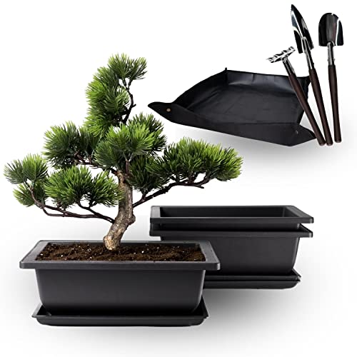 HäMO Bonsai Training Pots with Drainage Humidity Tray - Built in Mesh, 9 Inch Large Bonsai Tree Pot Planter, Set of 3 Bonsai Pots Set with Repotting Mat and 3 Mini Gardening Tools.