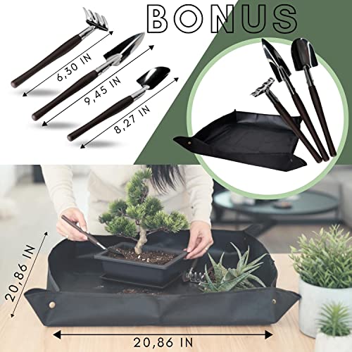 HäMO Bonsai Training Pots with Drainage Humidity Tray - Built in Mesh, 9 Inch Large Bonsai Tree Pot Planter, Set of 3 Bonsai Pots Set with Repotting Mat and 3 Mini Gardening Tools.