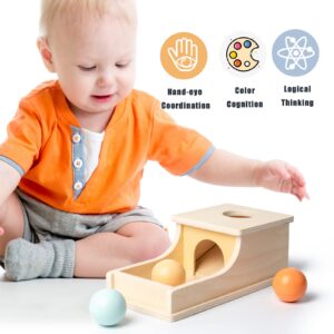 Busy edition Montessori Toys Object Permanence Box Wooden Ball Drop Baby Play for 6 Month 1 2 3 Year Old Toddlers Infant Early Age Toy