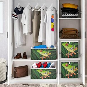 visesunny Closet Baskets TropicaL Tree Frog Animal Storage Bins Fabric Baskets for Organizing Shelves Foldable Storage Cube Bins for Clothes, Toys, Baby Toiletry, Office Supply