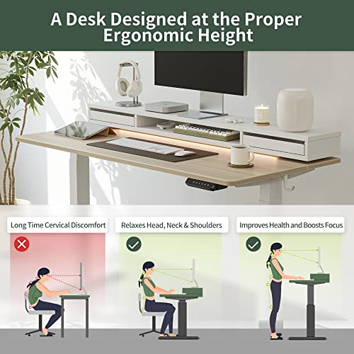 FEZIBO 55 × 26 Inch Electric Standing Desk with Monitor Stand, Height Adjustable Table with LED Strips, Ergonomic Home Office Furniture with 2 Drawers Storage Gaming Workstation, Light Walnut Top