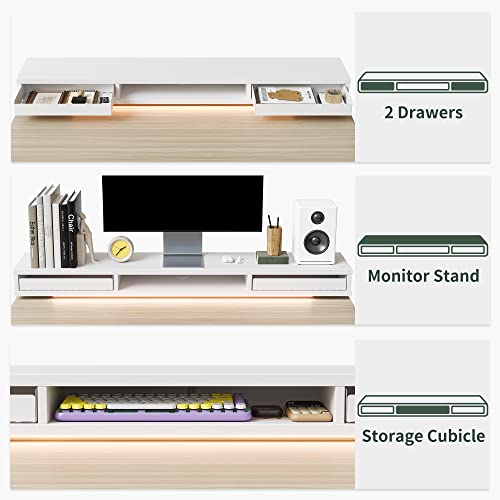 FEZIBO 55 × 26 Inch Electric Standing Desk with Monitor Stand, Height Adjustable Table with LED Strips, Ergonomic Home Office Furniture with 2 Drawers Storage Gaming Workstation, Light Walnut Top