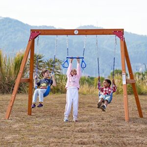 Dolphin Playground DIY Swing Sets for Backyard, Wooden Swing Set Outdoor for Kids with Trapeze Swing Bar and 2 Belt Swings, Heavy Duty Playground Accessories, Suitable for Any Swing Replacements