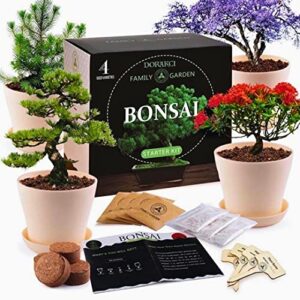 dorakci bonsai tree kit - gardening gift for men & women - bonsai tree growing garden crafts hobby kits for adults - room decor - bonsai tree for beginners - crafts for adults