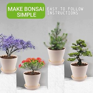 DORAKCI Bonsai Tree Kit - Gardening Gift for Men & Women - Bonsai Tree Growing Garden Crafts Hobby Kits for Adults - Room Decor - Bonsai Tree for Beginners - Crafts for Adults