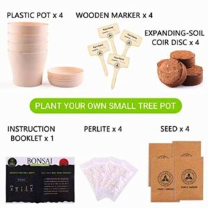 DORAKCI Bonsai Tree Kit - Gardening Gift for Men & Women - Bonsai Tree Growing Garden Crafts Hobby Kits for Adults - Room Decor - Bonsai Tree for Beginners - Crafts for Adults