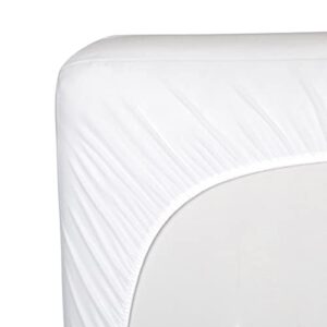 Sealy Waterproof Protection Fitted Toddler and Baby Mini Crib Mattress Pad Cover Protector, Noiseless, Machine Washable and Dryer Friendly, 38" x 24" - White