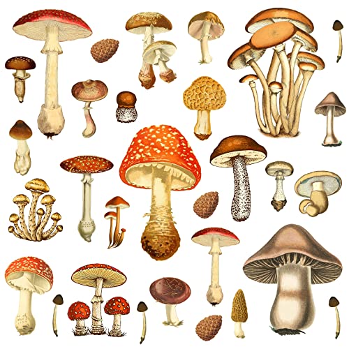 Vintage Mushroom Wall Decals Peel and Stick Retro Mushrooom Wall Stickers Large Big Mushroom Wall Stickers Removable Colorful Mushroom Wall Decals for Kids Room Nursery Decor