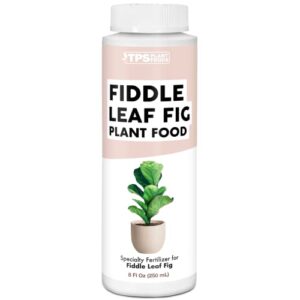 fiddle leaf fig plant food for all fig and other ficus trees, liquid houseplant fertilizer 8 oz (250ml)