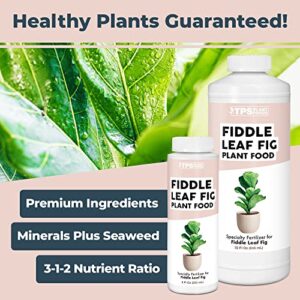 Fiddle Leaf Fig Plant Food for All Fig and Other Ficus Trees, Liquid Houseplant Fertilizer 8 oz (250mL)