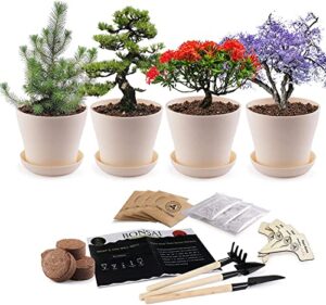 jc-jdfmy11 gardening potted plants,4 kit kinds of decorative bonsai tree planting kit suitable for indoor or outdoor,removable base,with drain holes,creative and novel gifts