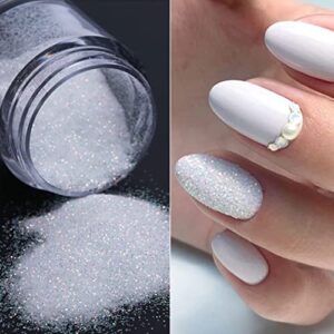 2 Boxes Holographic Nail Glitter Powder White Black Shining Sugar,1 Pieces Dip Powder Recycling Tray System Dip Case,1PCS Soft Nail Art Powder Brush Funnel,Nails Art Decoration DIY Crafts