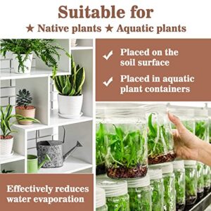 Sukh Clay Pebbles for Plants - Pebbles for Indoor Plants 100% Natural Clay, Used for Drainage, Decoration, Aquaponics, Hydroponics and Other Gardening Essentials Hydroton Small Pebbles Leca for Plants