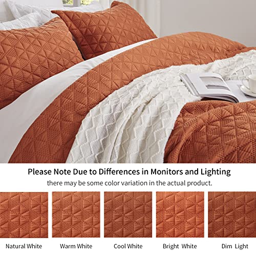 Burnt Orange Queen Size Quilt Bedding Sets-3 Pieces, Lightweight Summer Bedspread/Coverlet-90''x98'', Luxurious Soft 3D Ultrasonic Microfiber Bed Quilt for All Seasons (Includes 1 Quilt,2 Shams)