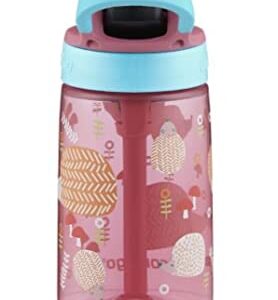 Contigo Kids Water Bottle with Redesigned AUTOSPOUT Straw, 14 oz., pink hedge hog