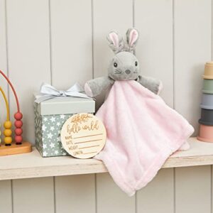 Bunny Lovey Bunny Security Blanket Loveys for Baby Girls Milestone Gift Set Box Present New Baby Newborn Pink Toy Baby Security Blankets for Girls Personalize