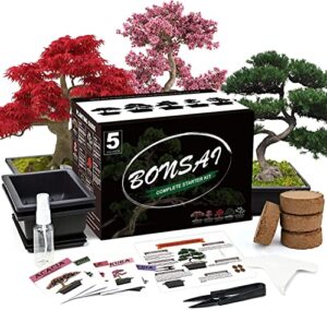 meekear bonsai tree kit with complete plant growing tools, grow in pot indoor bonsai tree starter kit, home gardening diy gift for adult (growing into acacia, wisteria, sakura, red maple, black pine)