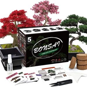 Meekear Bonsai Tree Kit with Complete Plant Growing Tools, Grow in Pot Indoor Bonsai Tree Starter Kit, Home Gardening DIY Gift for Adult (Growing into Acacia, Wisteria, Sakura, Red Maple, Black Pine)