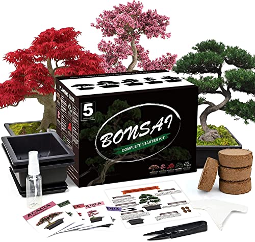 Meekear Bonsai Tree Kit with Complete Plant Growing Tools, Grow in Pot Indoor Bonsai Tree Starter Kit, Home Gardening DIY Gift for Adult (Growing into Acacia, Wisteria, Sakura, Red Maple, Black Pine)