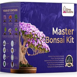 master bonsai kit - bonsai plant growing kit - professional growing and styling bonsai set - japanese bonsai - become bonsai master - ideal bonsai tree seed kit for indoor garden gardening
