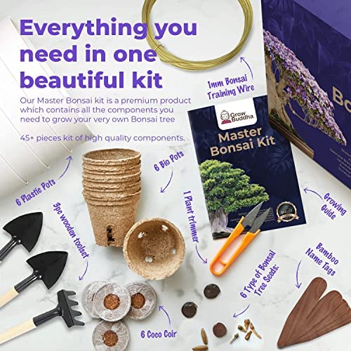 Master Bonsai Kit - Bonsai Plant Growing Kit - Professional Growing and Styling Bonsai Set - Japanese Bonsai - Become Bonsai Master - Ideal Bonsai Tree Seed Kit for Indoor Garden Gardening