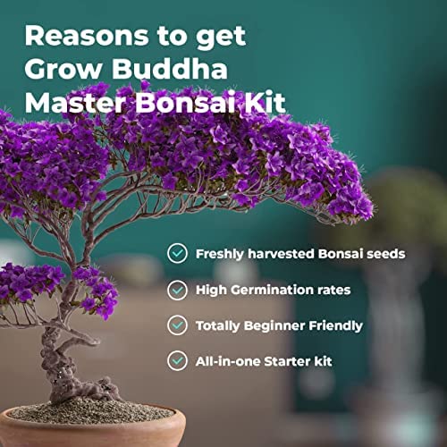 Master Bonsai Kit - Bonsai Plant Growing Kit - Professional Growing and Styling Bonsai Set - Japanese Bonsai - Become Bonsai Master - Ideal Bonsai Tree Seed Kit for Indoor Garden Gardening