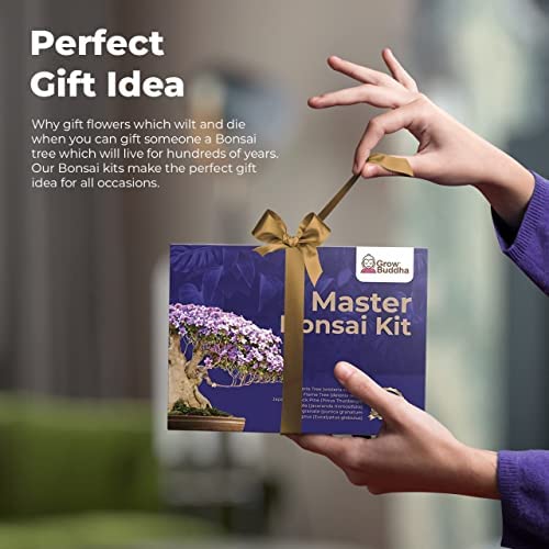 Master Bonsai Kit - Bonsai Plant Growing Kit - Professional Growing and Styling Bonsai Set - Japanese Bonsai - Become Bonsai Master - Ideal Bonsai Tree Seed Kit for Indoor Garden Gardening