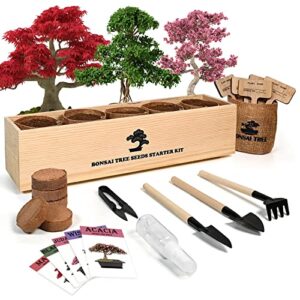 meekear bonsai tree kit with complete growing starter kit, great potted growing diy gift for adults