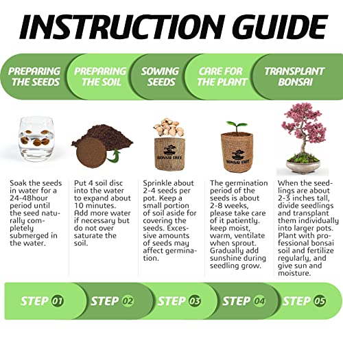 Meekear Bonsai Tree Kit with Complete Growing Starter Kit, Great Potted Growing DIY Gift for Adults