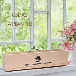 Meekear Bonsai Tree Kit with Complete Growing Starter Kit, Great Potted Growing DIY Gift for Adults