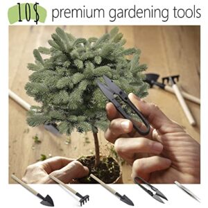 Bonsai Starter Kit – 1x Bonsai Tree | Complete Indoor Starter Kit for Growing Plants with Bonsai Seeds, Tools & Planters – Gardening Gifts for Women & Men