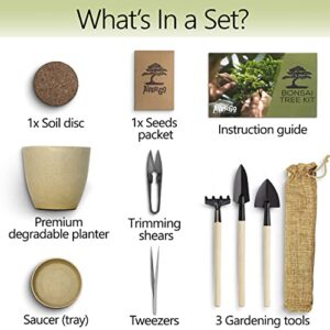 Bonsai Starter Kit – 1x Bonsai Tree | Complete Indoor Starter Kit for Growing Plants with Bonsai Seeds, Tools & Planters – Gardening Gifts for Women & Men