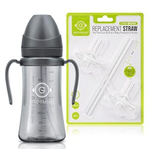 grosmimi ppsu spill proof magic sippy cup 10 oz (charcoal) + replacements (straw kit 2-counts, stage 2)