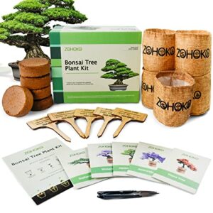 zohoko bonsai tree kit wtih 5 mini bonsai trees, bonsai starter kit, bonsai grow kit - perfect gardening gift for women, unique gardening gifts for men
