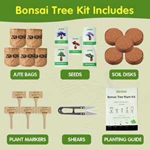 ZOHOKO Bonsai Tree Kit wtih 5 Mini Bonsai Trees, Bonsai Starter Kit, Bonsai Grow kit - Perfect Gardening Gift for Women, Unique Gardening Gifts for Men