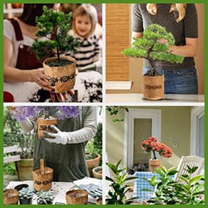 ZOHOKO Bonsai Tree Kit wtih 5 Mini Bonsai Trees, Bonsai Starter Kit, Bonsai Grow kit - Perfect Gardening Gift for Women, Unique Gardening Gifts for Men