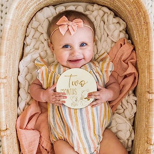 Winnie Baby Monthly Milestone Marker Discs Baby Announcement Sign Newborn Sign For Photo Prop Baby Shower Nursery Gift（16PCS）