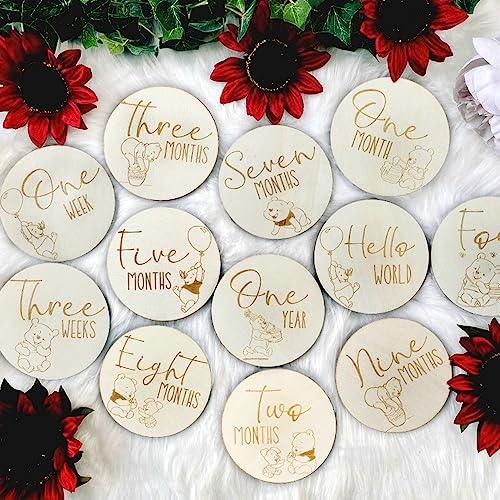 Winnie Baby Monthly Milestone Marker Discs Baby Announcement Sign Newborn Sign For Photo Prop Baby Shower Nursery Gift（16PCS）