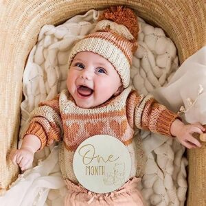 Winnie Baby Monthly Milestone Marker Discs Baby Announcement Sign Newborn Sign For Photo Prop Baby Shower Nursery Gift（16PCS）