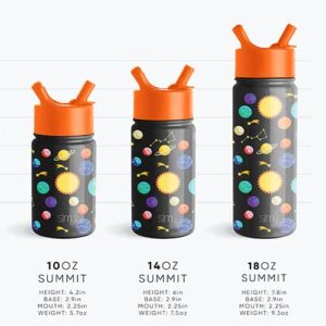 Simple Modern Baby Shark Kids Water Bottle with Straw Lid | Insulated Stainless Steel Reusable Tumbler for Toddlers, Boys | Summit Collection | 14oz, Baby Shark Friends