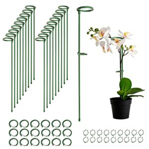plant stakes,plant support stakes with rings for indoor and outdoor plants.mialexo 19pcs plant support sticks suitable for potted plant flowers tomatoes peony lily rose (17.6-18inches)