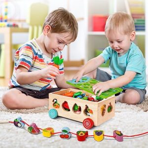 8-in-1 Toddlers Montessori Wooden Educational Toys for Baby Boy Girl 1 2 3 Year Old, Shape Sorting Toys Gifts for Kids 2-4, Preschool Learning Fine Motor Skills Game Carrot Harvest Game Toys for 1-3