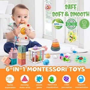 Baby Toys 6 to 12 Months, Montessori Toy for Toddlers 1-3, Infant Teething Babies Toy 6 in 1 Stacking Blocks Rings Pull String Toy Suction Cup Spinner Toy Matching Eggs Shape Sorter Sensory Bin (A)