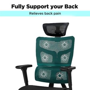 Kinna EK Ergonomic Office Chair, Home Office Mesh Chair with Adjustable 4D Headrest, 3D Armrest, Lumbar Support for Long Hours - High-Back Computer Chair with Tilt Function, 5-Year Warranty