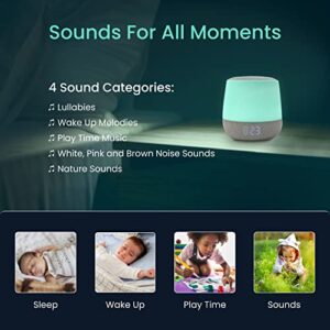 2 in 1 - Babysense Video Baby Monitor with Two HD Cameras & 5" HD Display Bundled with Smart Baby White Noise Sound and Light Machine