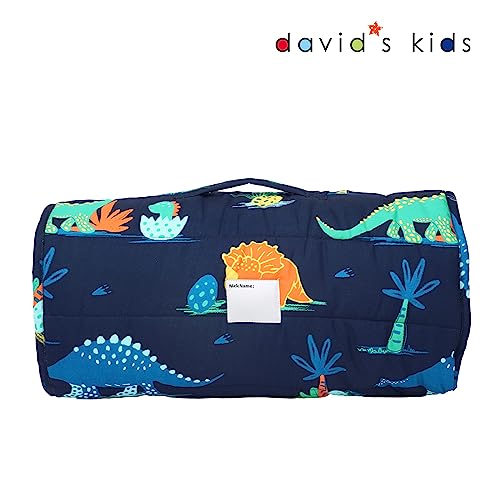 david's kids Toddler Nap Mat Set with Removable Pillow, Ultra Soft Slumber Bags for Boys，Perfect for Preschool, Daycare, Kids Sleeping Bags with Rollup Design, 50"x20", Dinosaur